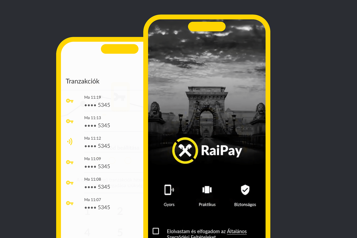 RaiPay